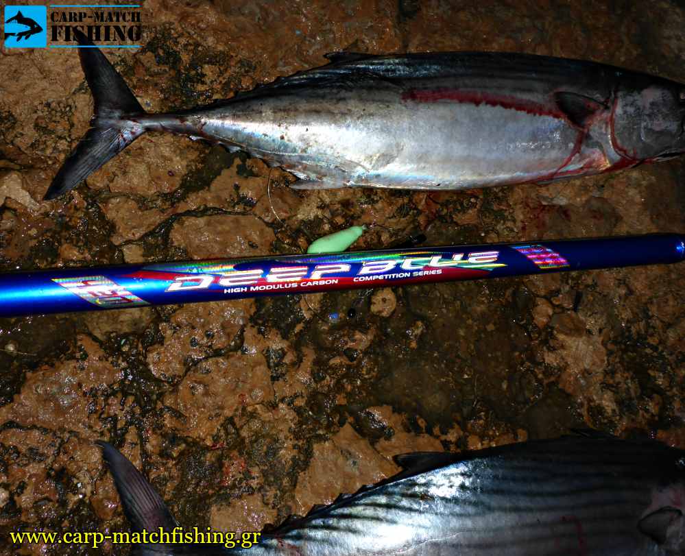 deep blue nekton blank casting rod carpmatchfishing