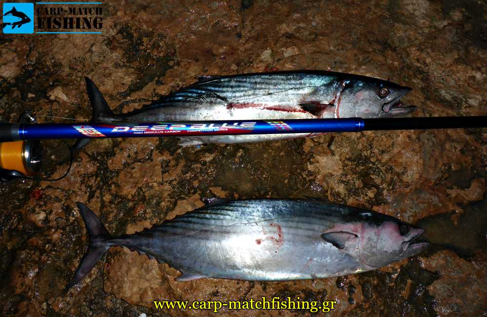 nekton deep blue casting rod palamides 2 carpmatchfishing