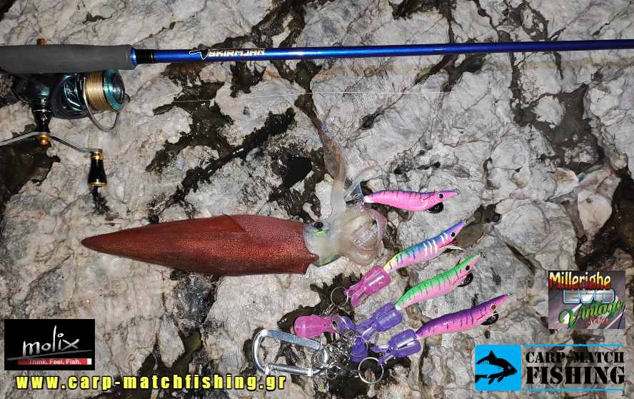 molix skirmjan eging millerighr vintage carpmatchfishing