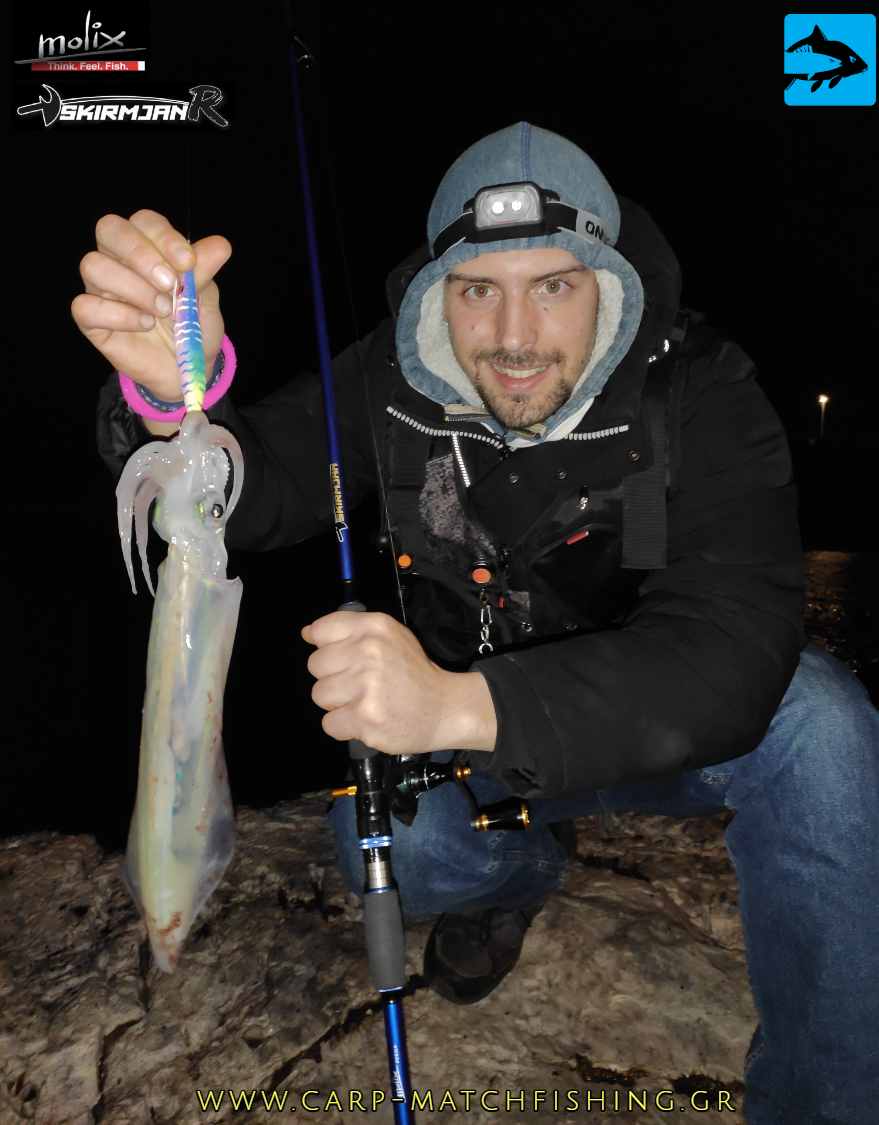 molix skirmjan eging rod squid ps carpmatchfishing