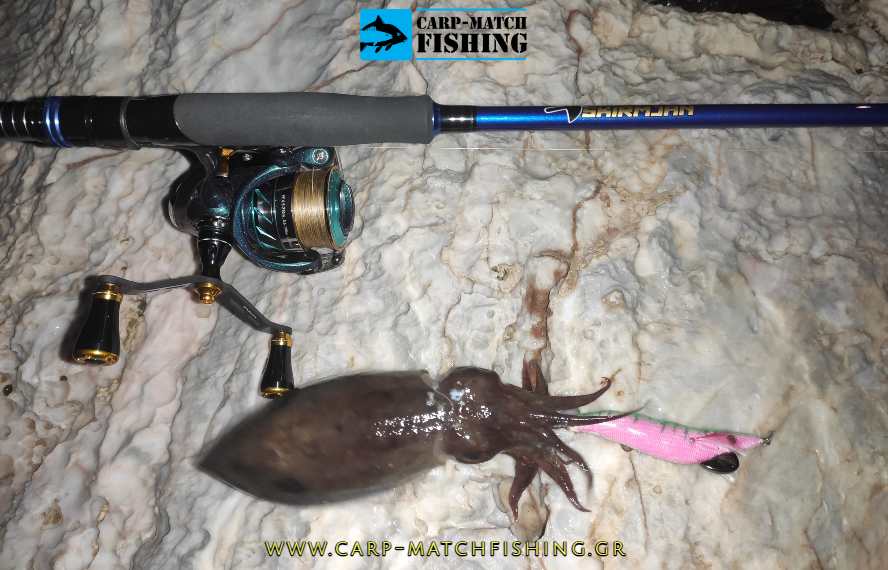 molix skirmjan eging soupia seppia millerighe carpmatchfishing