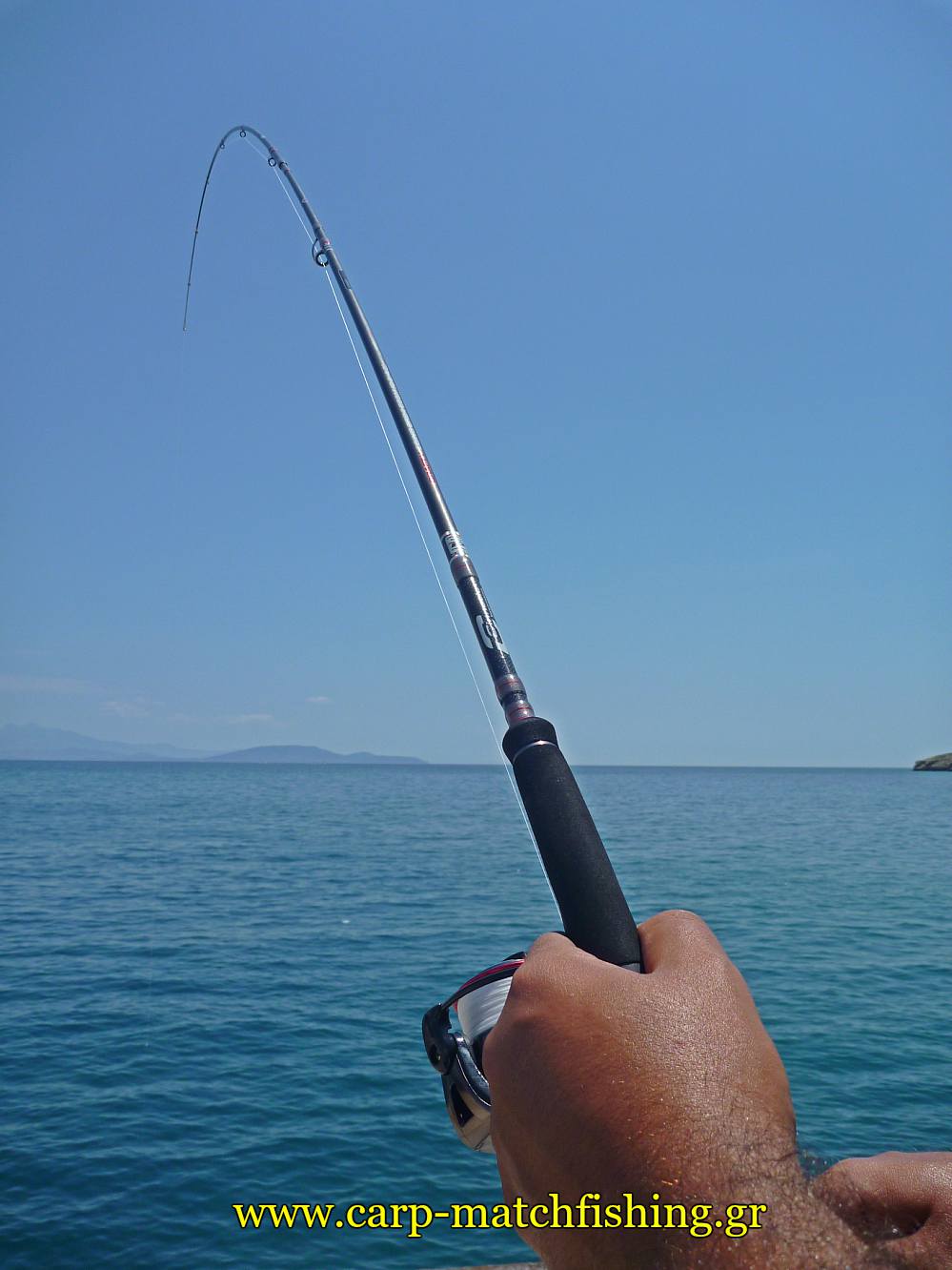crafty-eging-cinnetic-curve-carpmatchfishing