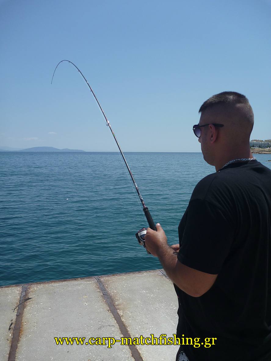 crafty-eging-cinnetic-curve-pan-carpmatchfishing