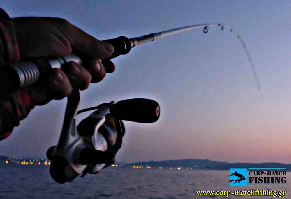 cinnetic crafty eging curve carpmatchfishing