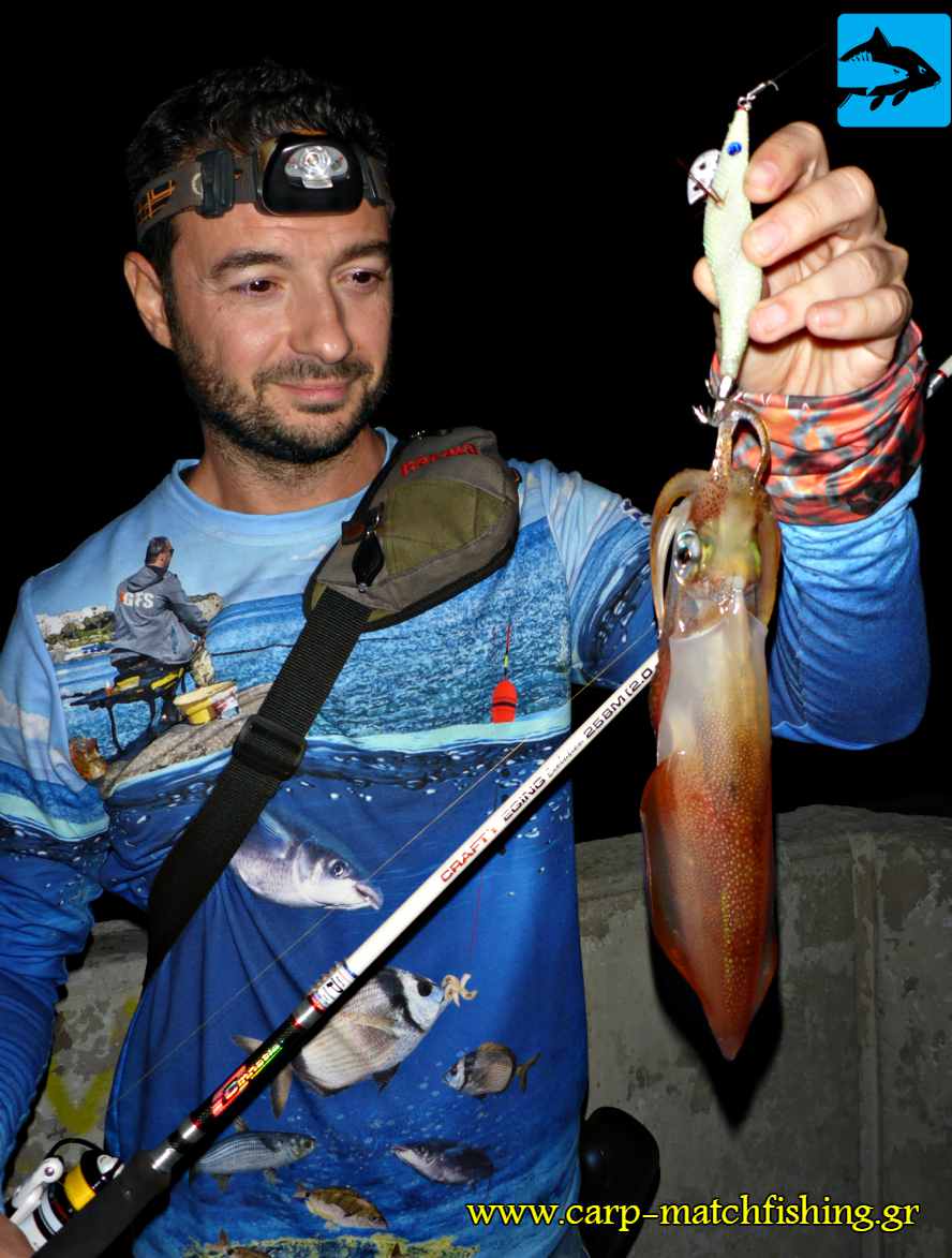 cinnetic crafty evolution sfaltos carpmatchfishing