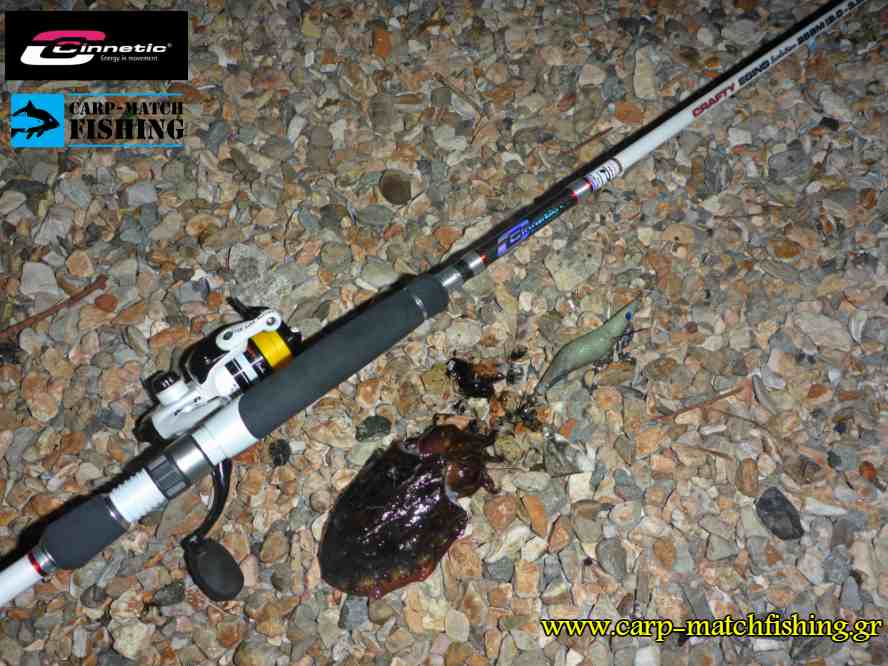 soupia seppia crafty eging cinnetic carpmatchfishing