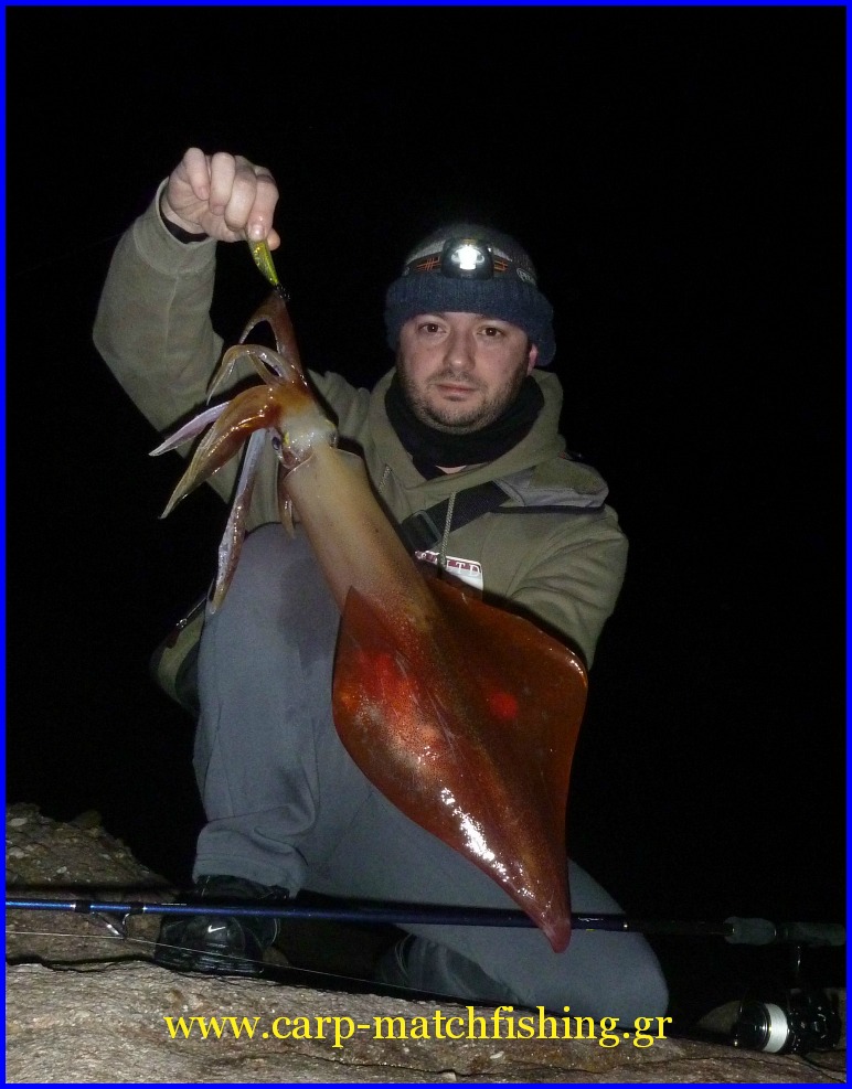 big-squid-eging-sumizoku