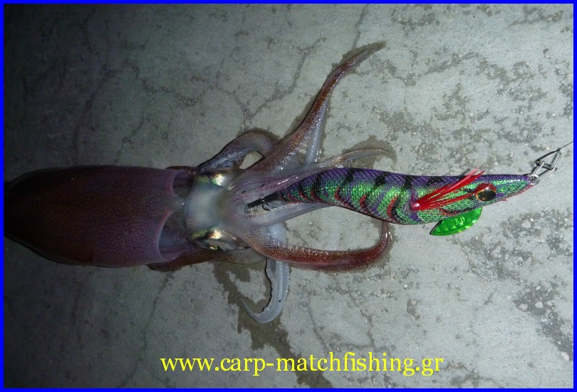 sumizoku-green-squid