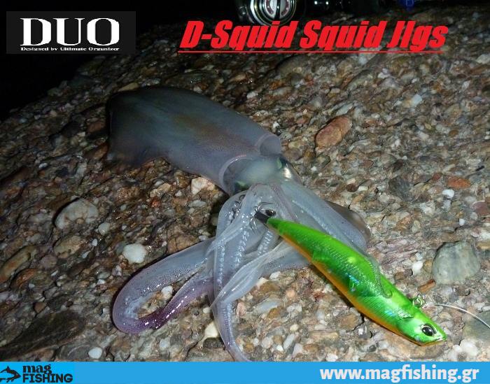 eging squid dsquid eging magfishing.gr