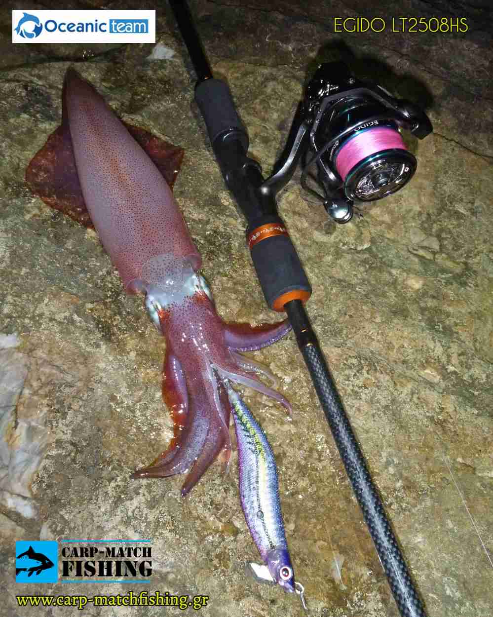 squid egido lt2508hs oceanic carpmatchfishing