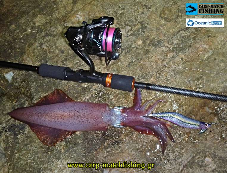 squid egido reel oceanic carpmatchfishing