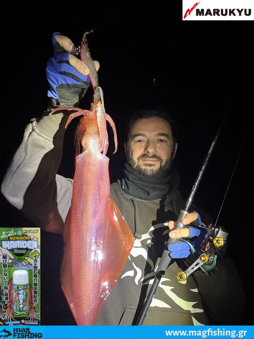 big squid marukyu ika rider magfishing.gr