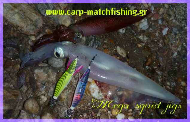 www.carp-matchfishing.gr / Τα πάντα για το ψάρεμα σε γλυκά νερά και θάλασσα, τεχνικές carp, spinning, match fishing, eging.