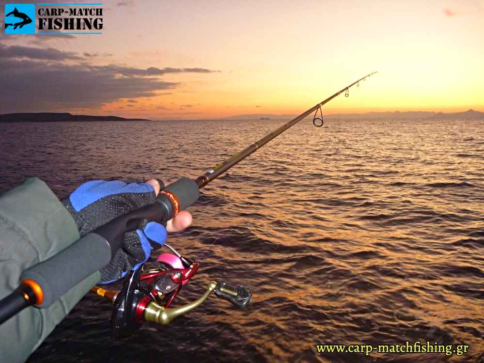 eging rod sunset carpmatchfishing
