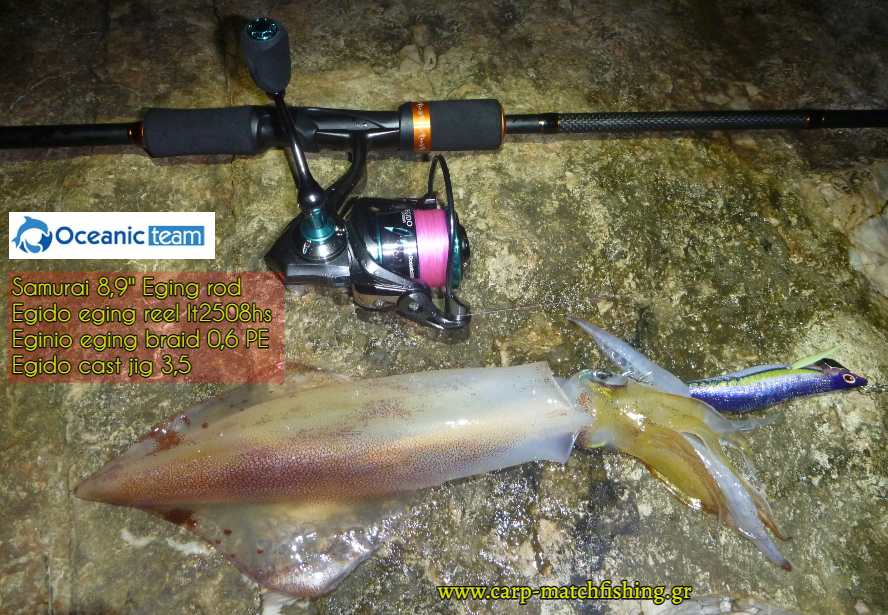 oceanic squid all samurai egido eginio carpmatchfishing