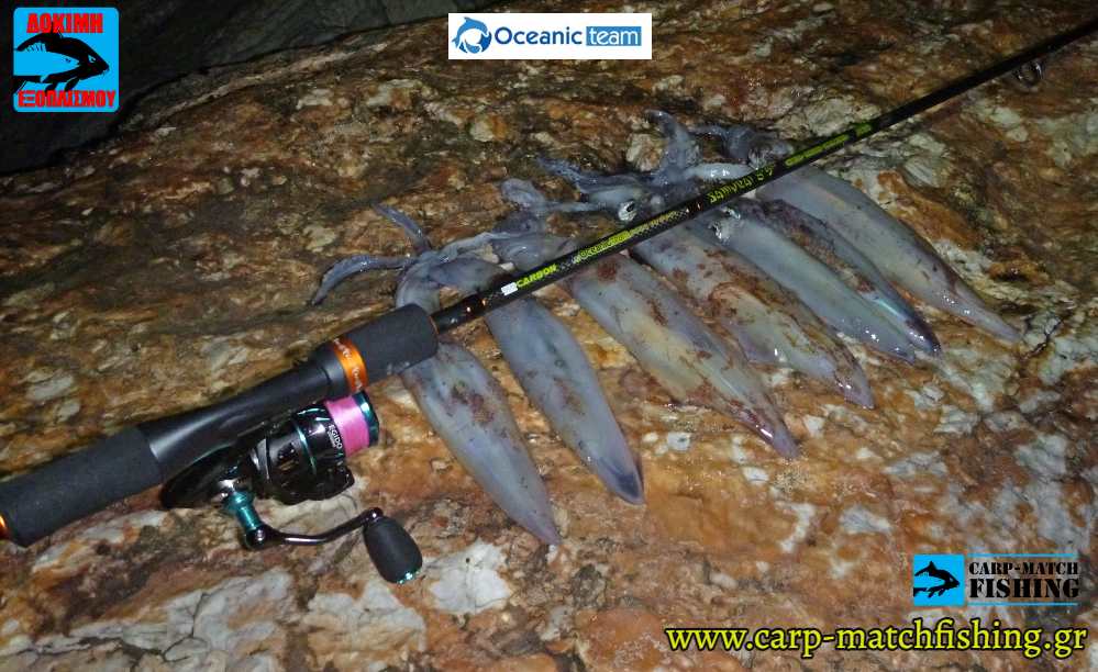 squids eging carpmatchfishing