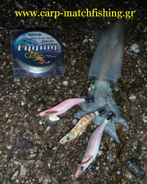 eging-3-squid-jigs