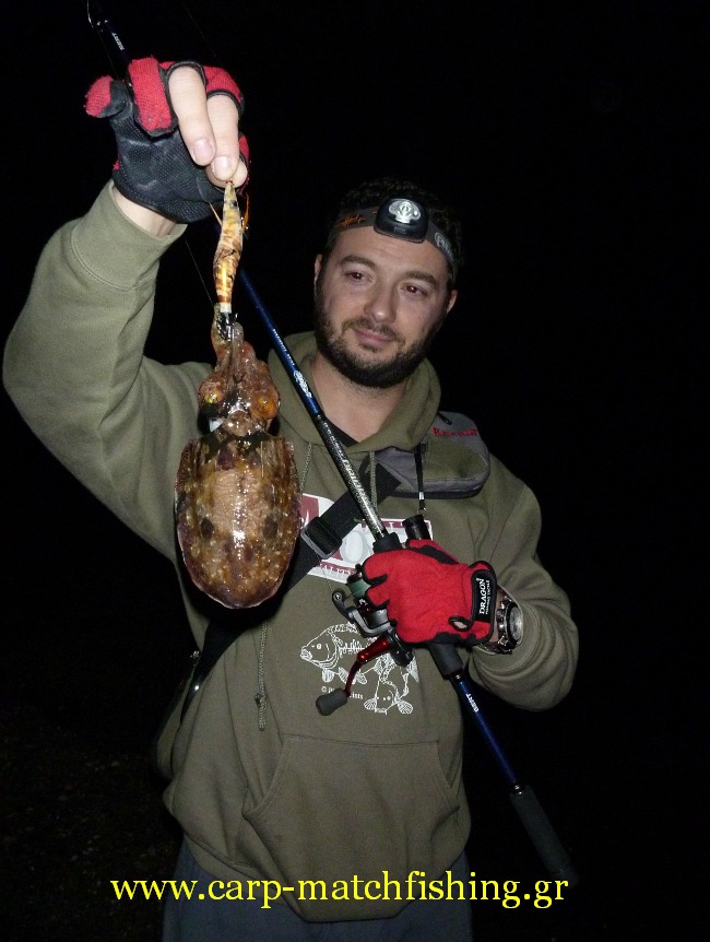 eging-vega-squid-jigs