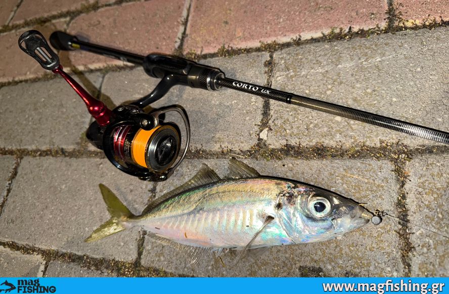 ajing graphiteleader corto ux 23gcorus kokkali magfishing.gr