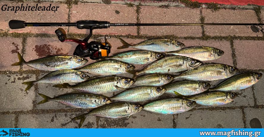 safridia kokkalia graphiteleader corto ux ulrf rod 23gcorus ajing magfishing.gr