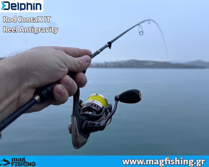 delphin curve contax it rod reel antigravity 1000 magfishing.gr