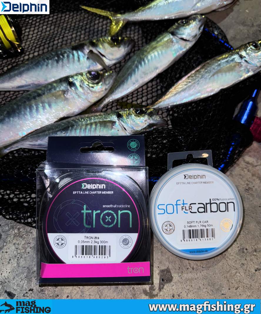 delphin nima tron paramalo flr carbon kokkalia ajing lrf magfishing.gr