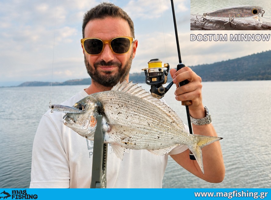 OSTUM MINNOW TSIPOURA SFALTOS TYRIKOS MAGFISHING.GR