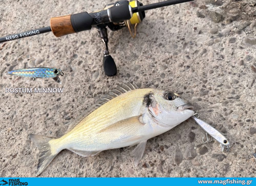 dostumminnow tsipoura limani lrf magfishing.gr