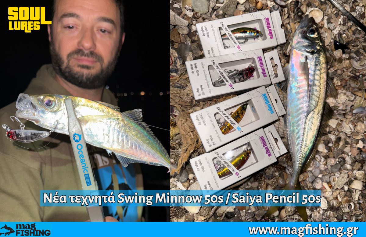 nea texnita swing minnow 50s saiya pencil 50s soul lures oceanic team magfishing.gr