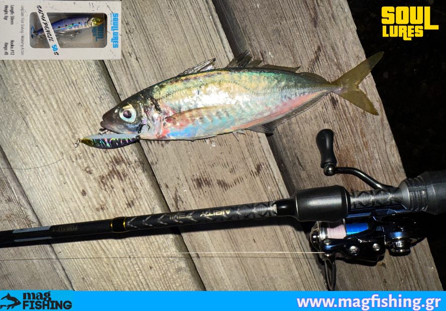soul lures oceanic team saiya pencil 50s kokkali magfishing.gr