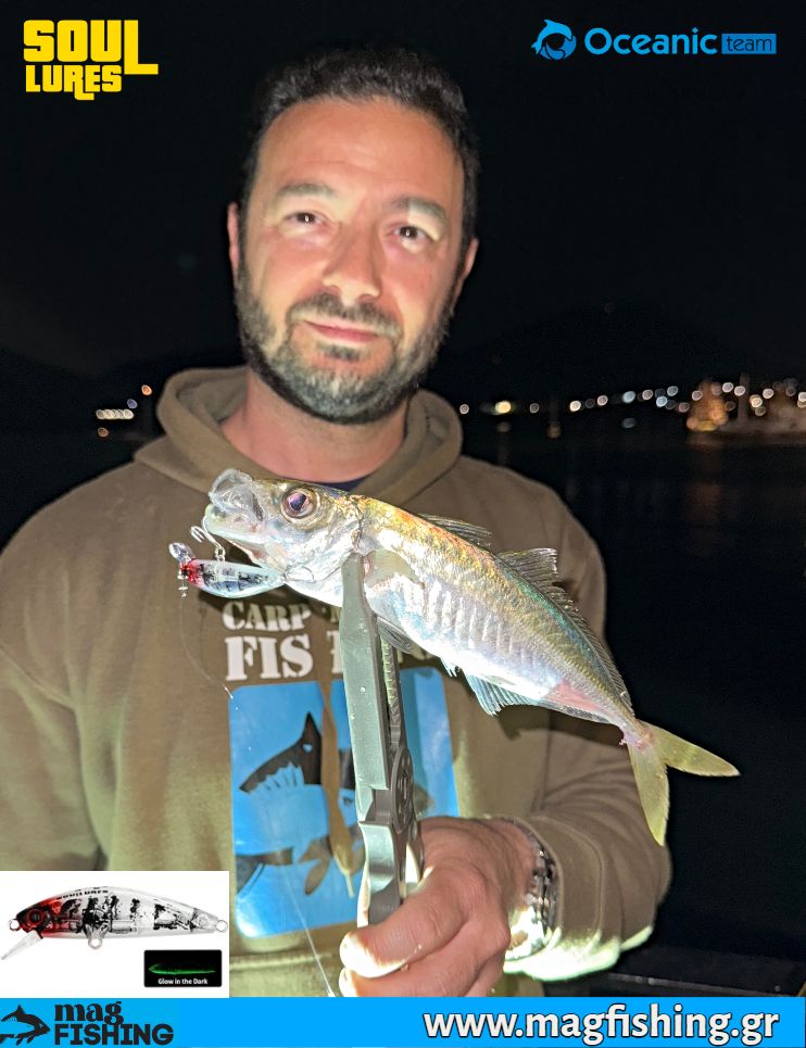 swing minnow 50s soul lures oceranic team kokkali ajing magfishing.gr