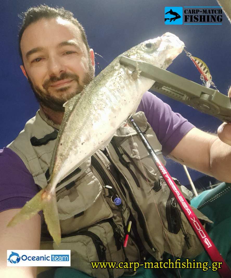 oceanic rock assasin safridi carpmatchfishing