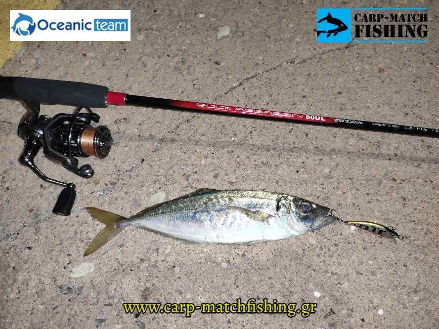 rock assassin kokkali rocky minnow carpmatchfishing