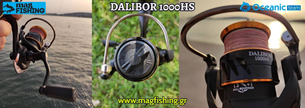 Dalibor 1000hs oceanic team mixanismos lrf magfishinggr