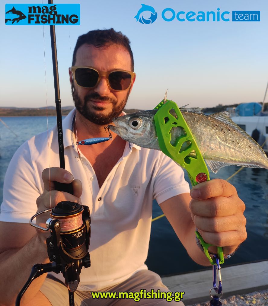 dalibor 1000hs ajing oceanic team mixanismos best seller magfishing.gr