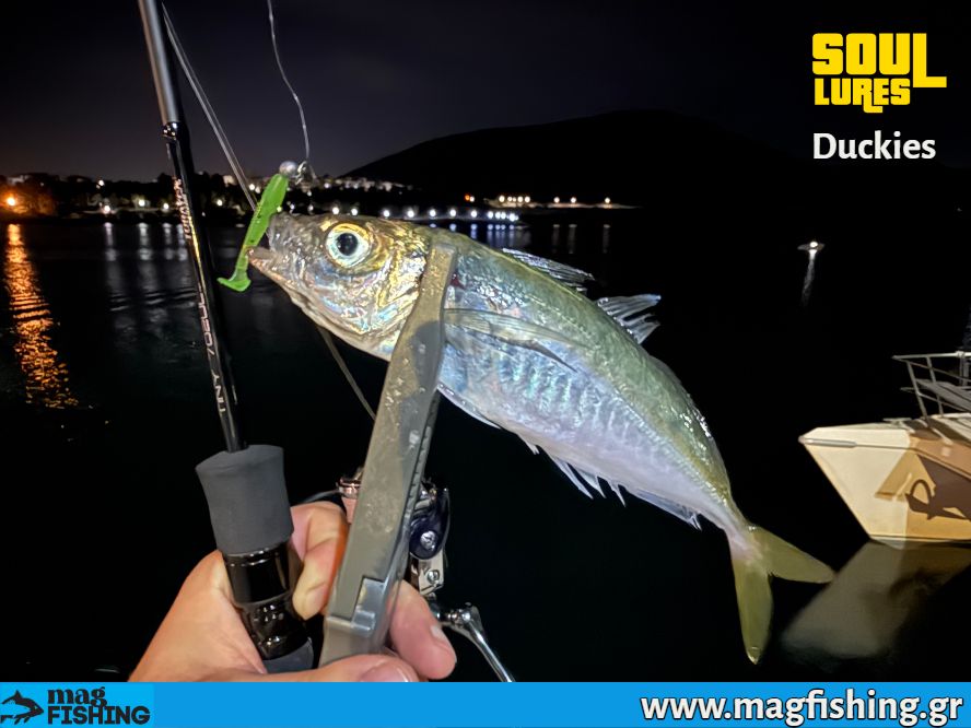 soul lures duckies oceanic team silicon lures magfishing.gr