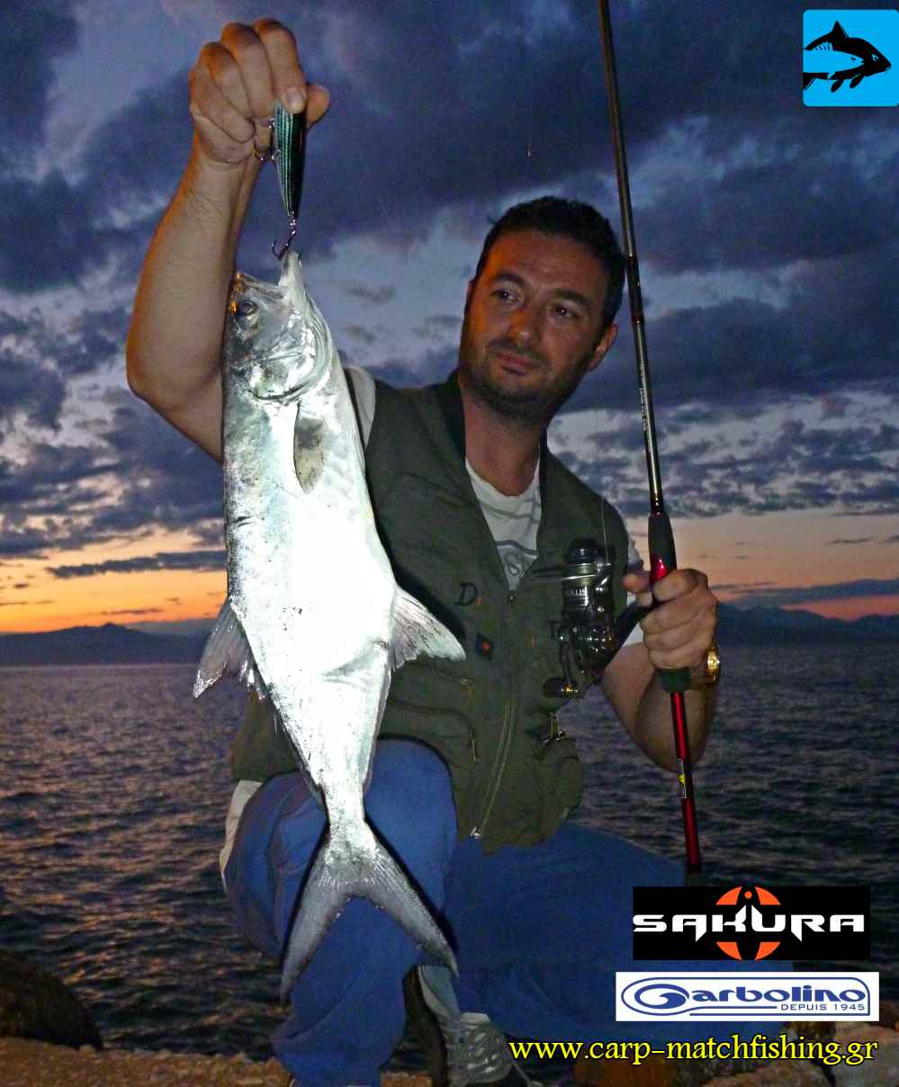 litsa sfaltos lrf gileko garbolino sakura rod reel carpmatchfishing
