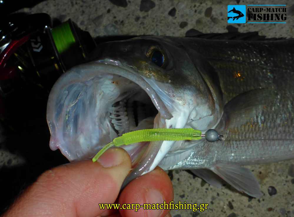 lavraki sakura lrf kit carpmatchfishing