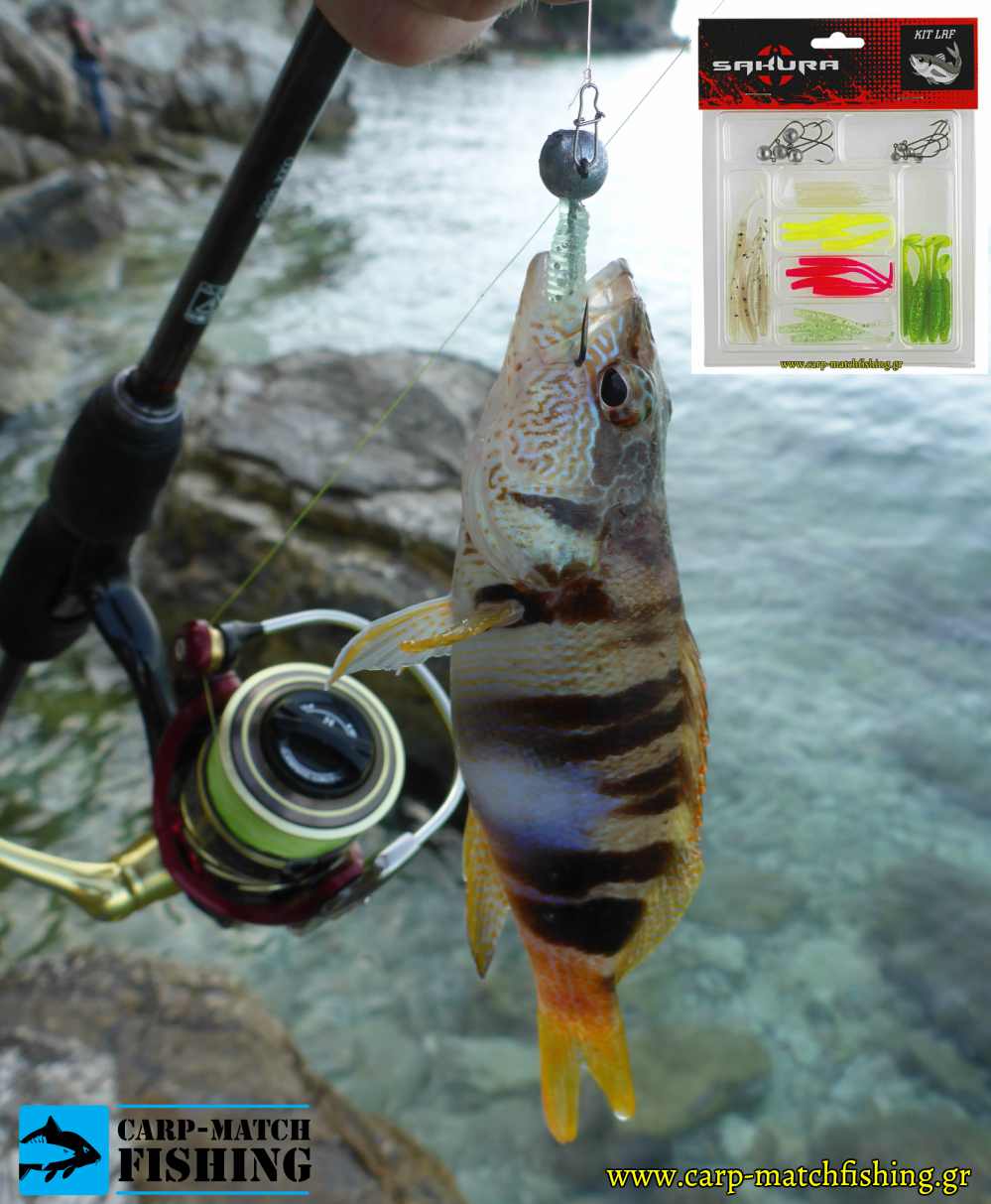 perka white silikoni sakura lrf kit carpmatchfishing