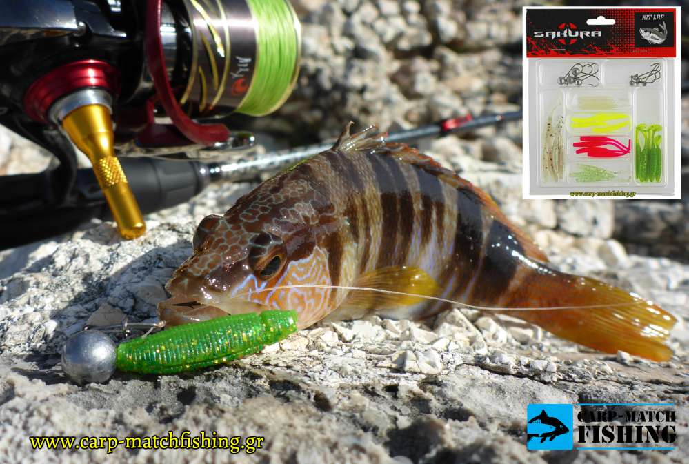 perkasakura lrf kit set carpmatchfishing
