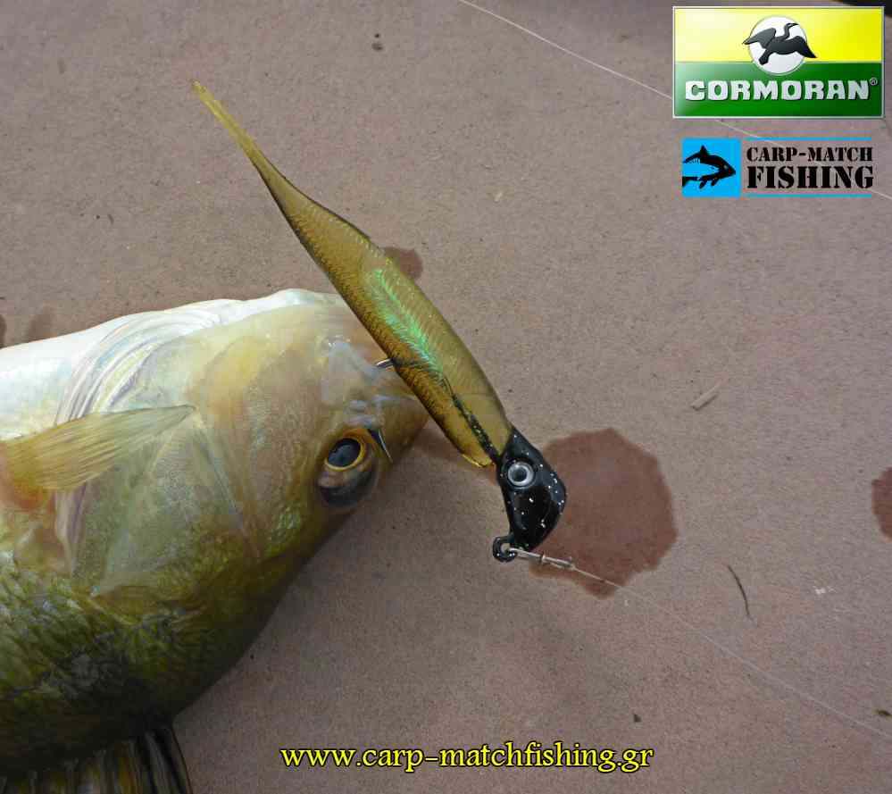 cormoran micro fry perka carpmatchfishing