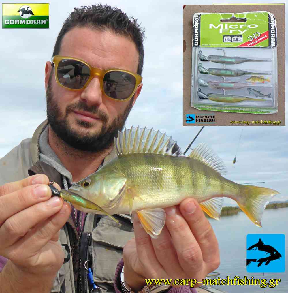 perka perch sfaltos cormoran micro fry carpmatchfishing