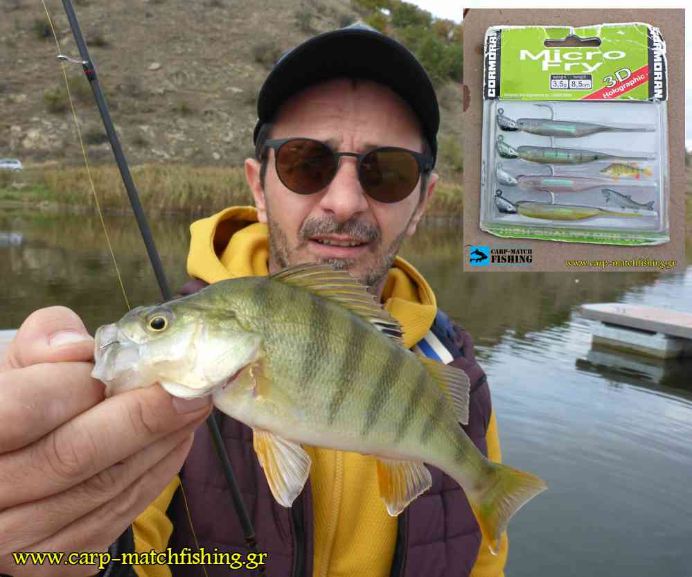 perka perch xs carpmatchfishing