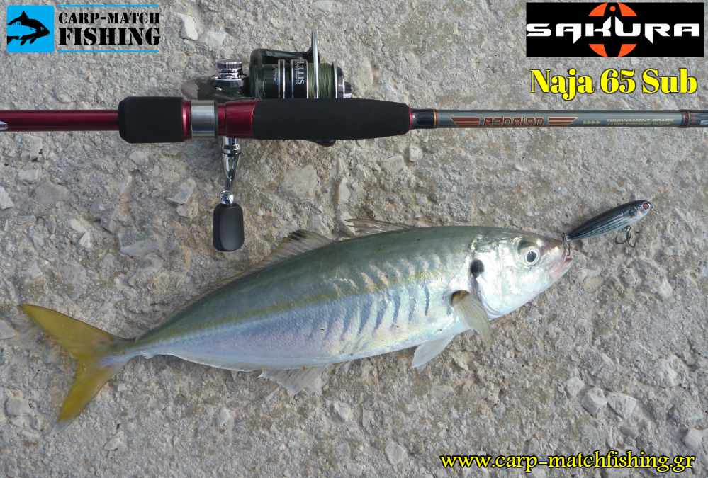 kokkali mullet sub sakura redbird carpmatchfishing