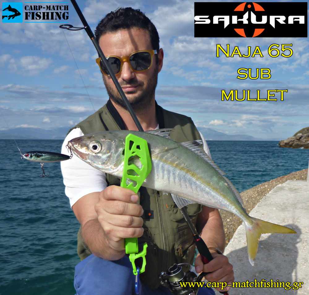 kokkali sakura naja sub mullet lrf carpmatchfishing