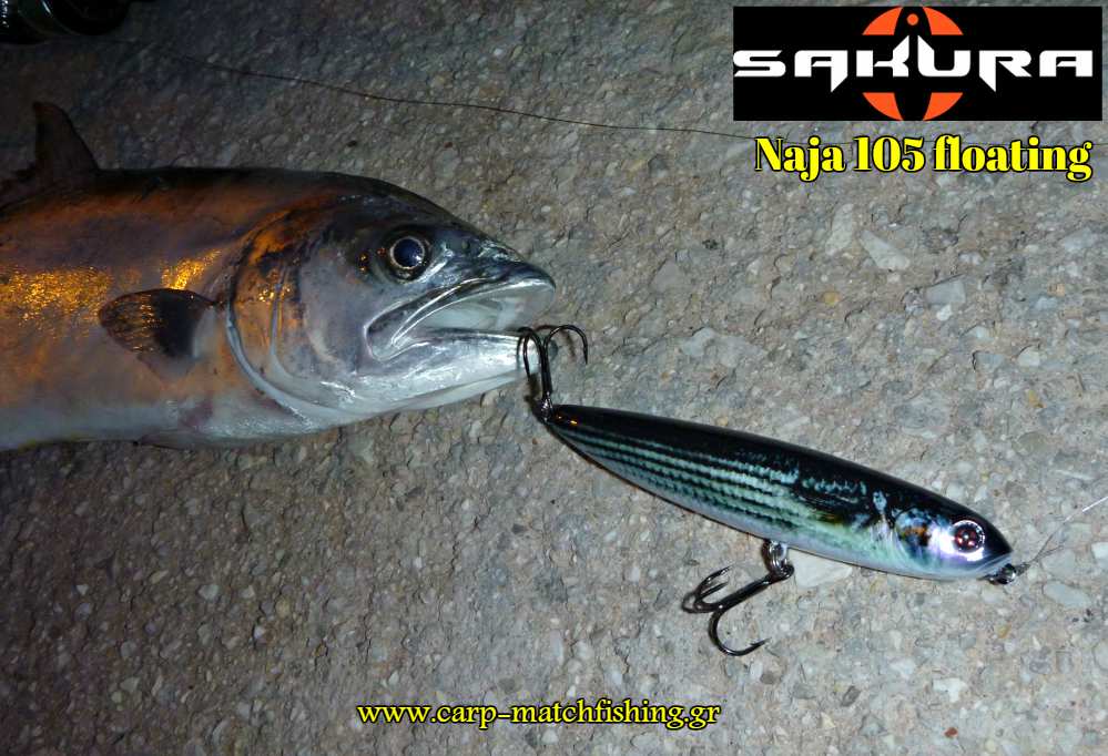 litsa naja 105 sakura carpmatchfishing