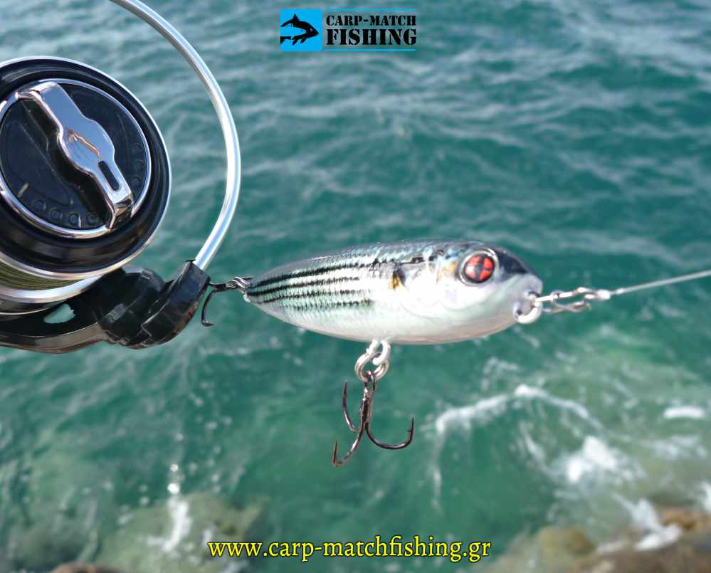 naja sub sakura hollis banax carpmatchfishing