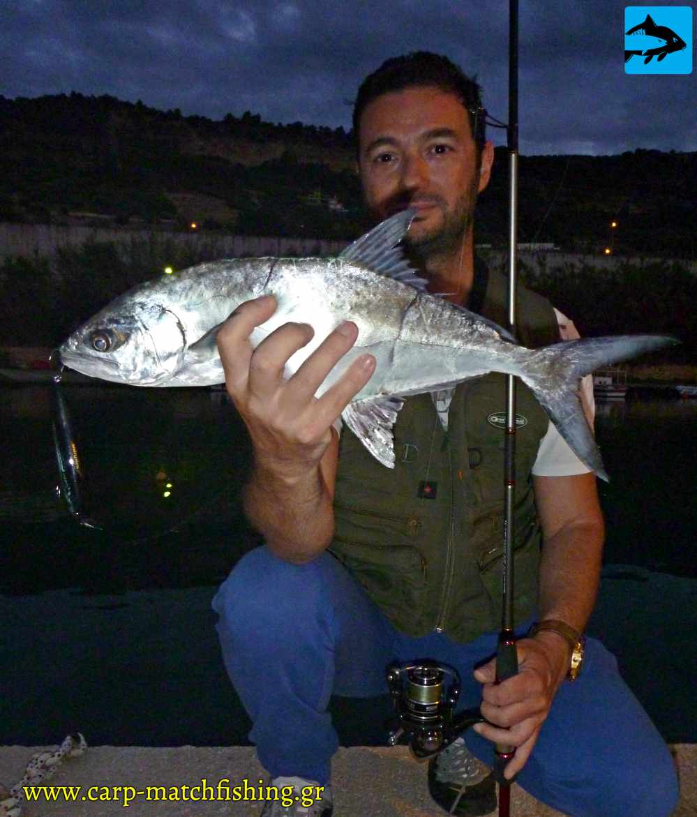 sakura 105 mullet litsa lrf carpmatchfishing