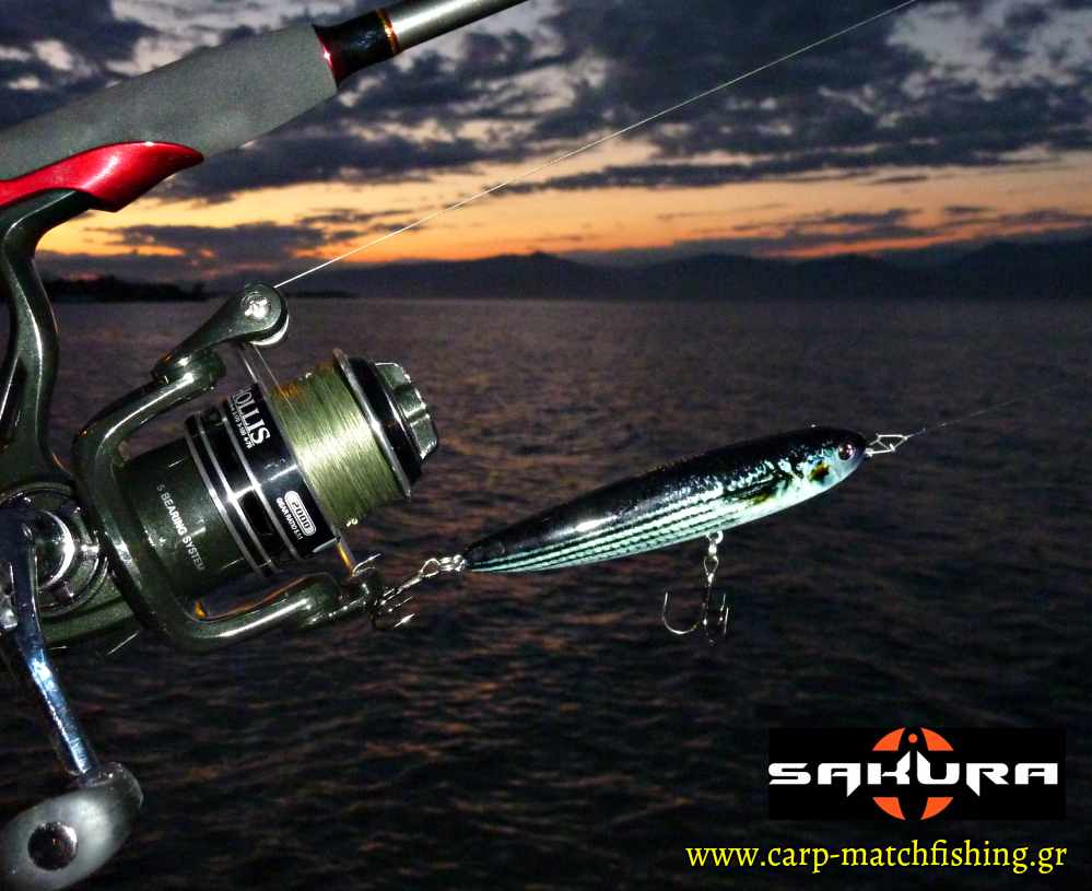 sakura naja 105 walk the dog surface texnito carpmatchfishing