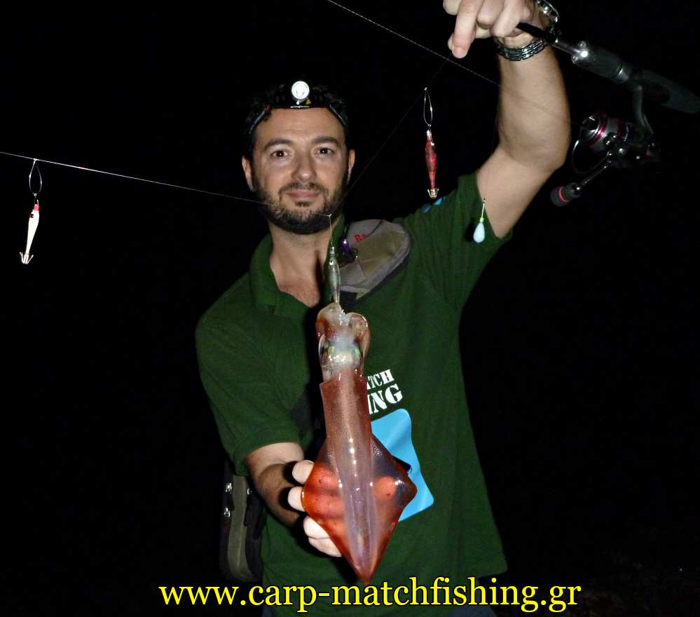 dragon-nano-lite-tataki-eging-sfaltos-carpmatchfishing